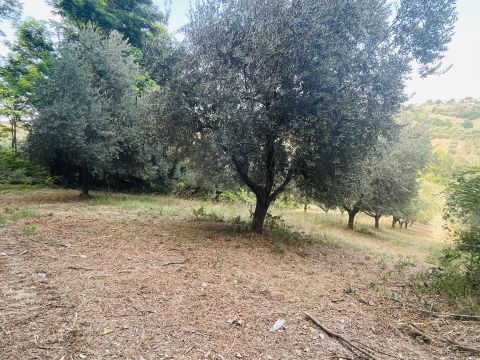 Via Sotto il Loco - Sant'omero