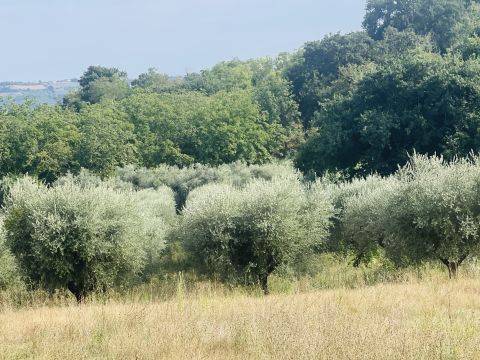 Via Sotto il Loco - Sant'omero