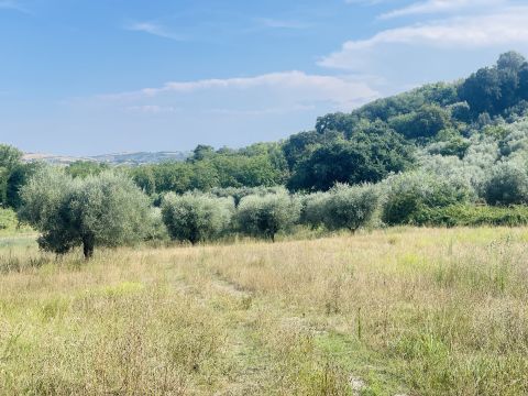 Via Sotto il Loco - Sant'omero