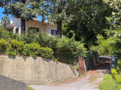 Strada Provinciale Mammianese, 403 - Pescia