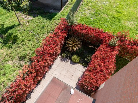 Via G. Puccini, 62 - Abano Terme