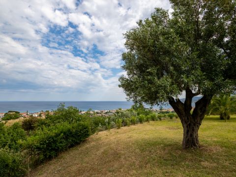 Via Mandrelli - Montauro