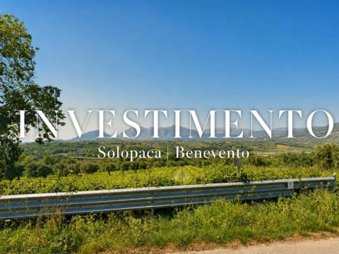 Contrada Sala - Solopaca