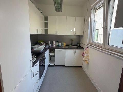 Via Trieste, 12 - Padova