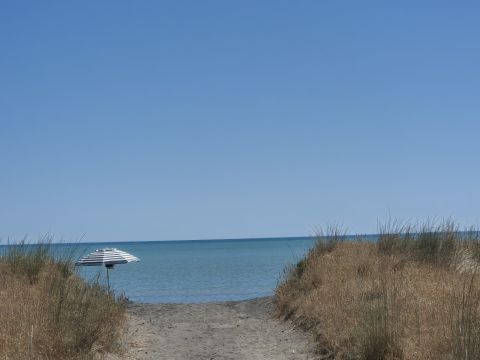 Ippocampo, FG, Italia - Manfredonia