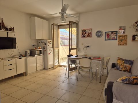 Ippocampo, FG, Italia - Manfredonia