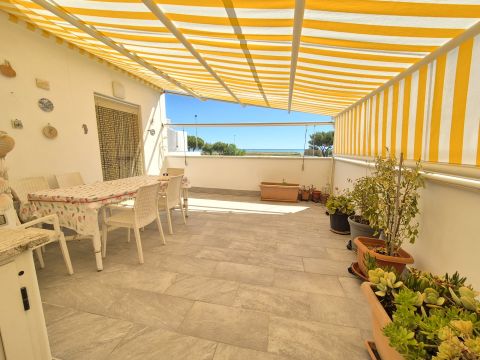 Ippocampo, FG, Italia - Manfredonia