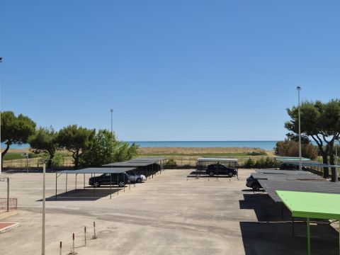 Ippocampo, FG, Italia - Manfredonia