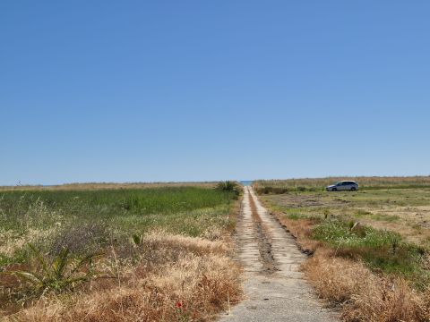 Ippocampo, FG, Italia - Manfredonia