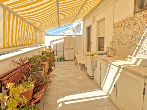 Ippocampo, FG, Italia - Manfredonia