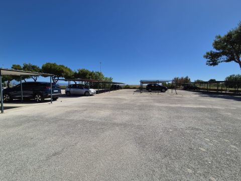 Ippocampo, FG, Italia - Manfredonia