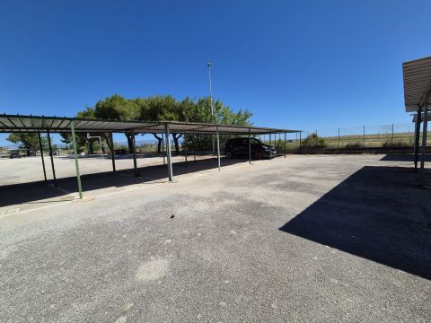 Ippocampo, FG, Italia - Manfredonia
