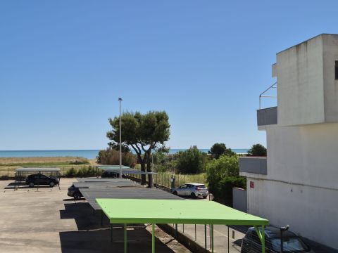 Ippocampo, FG, Italia - Manfredonia