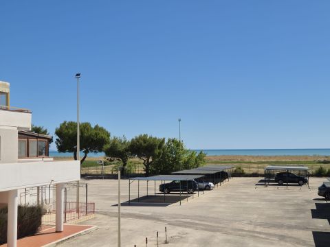 Ippocampo, FG, Italia - Manfredonia