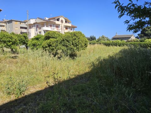 Contrada Vasì - Caulonia