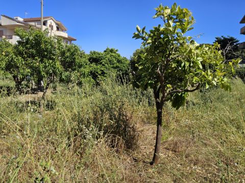 Contrada Vasì - Caulonia
