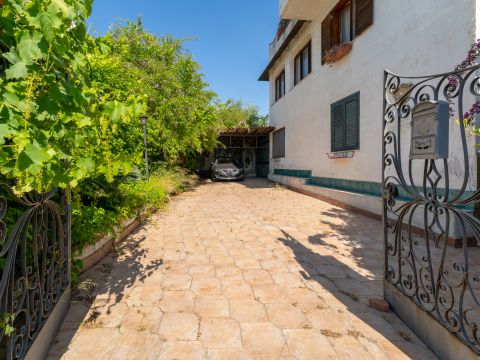 Via Vampolieri, 31 - Aci Catena