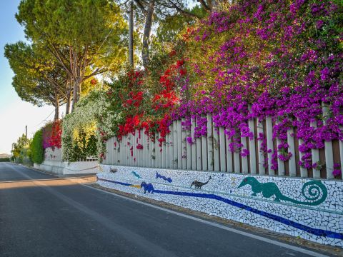 Via Mare Mediterraneo, 44 - Pontecagnano Faiano