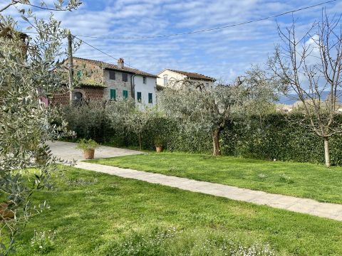Via Cardinale A. Pacini, 12 - Capannori