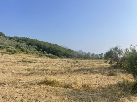 via Difesa Monti - Albanella