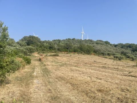 via Difesa Monti - Albanella