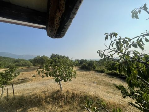 via Difesa Monti - Albanella