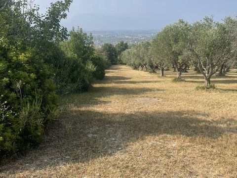via Difesa Monti - Albanella