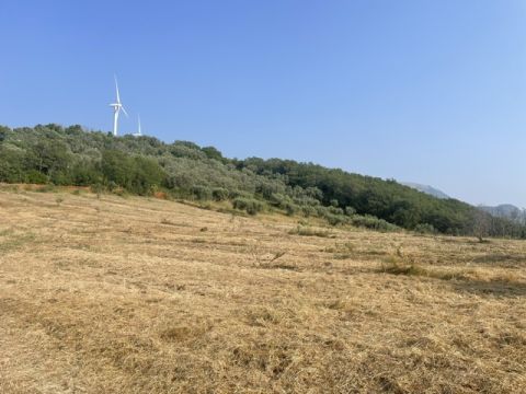 via Difesa Monti - Albanella