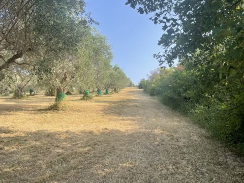 via Difesa Monti - Albanella