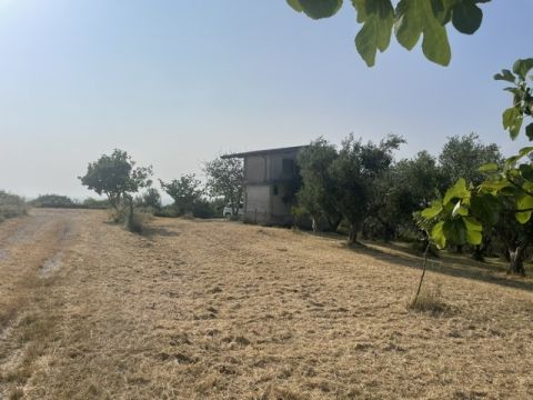 via Difesa Monti - Albanella