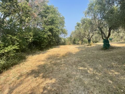 via Difesa Monti - Albanella