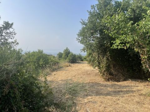 via Difesa Monti - Albanella