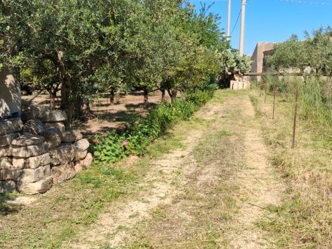 Contrada Piana - Sciacca