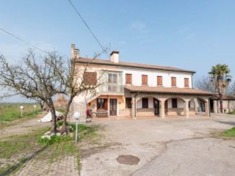 Via Bosco, 29 - Codevigo