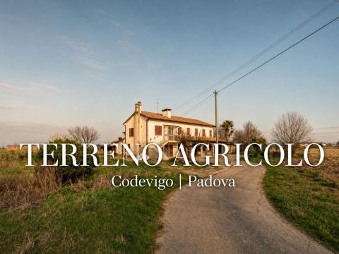 Via Bosco, 29 - Codevigo