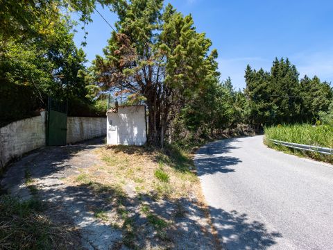 Contrada Ciaramella snc, Caraffa di Catanzaro, CZ, Italia - Caraffa Di Catanzaro