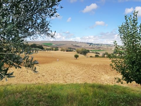 Frazione Montale, 136 - Arcevia