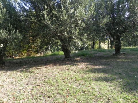 Frazione Montale, 136 - Arcevia