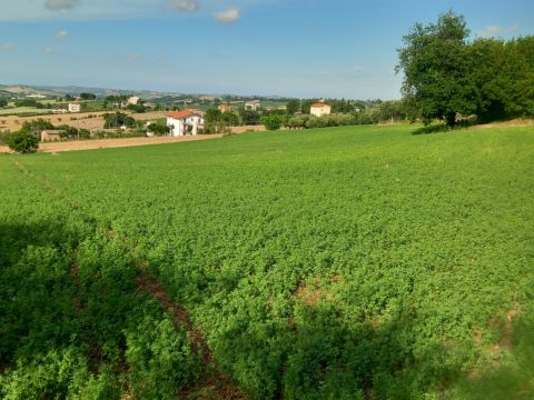 Frazione Montale, 136 - Arcevia