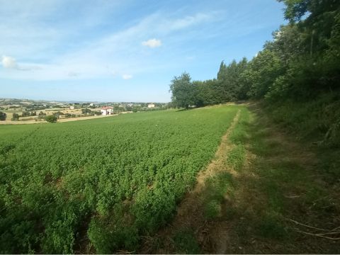 Frazione Montale, 136 - Arcevia