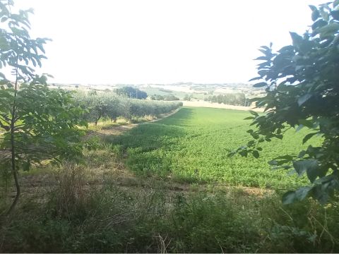 Frazione Montale, 136 - Arcevia