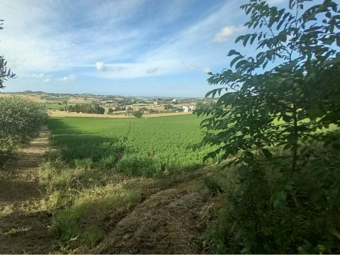 Frazione Montale, 136 - Arcevia