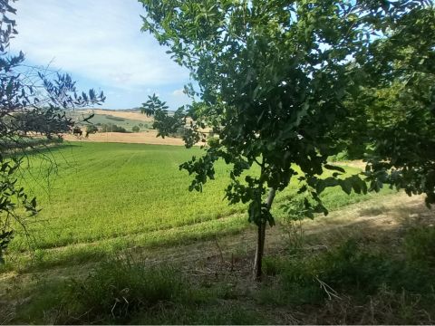 Frazione Montale, 136 - Arcevia