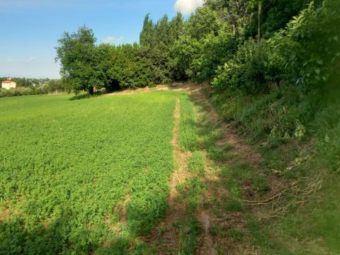 Frazione Montale, 136 - Arcevia