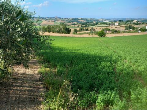 Frazione Montale, 136 - Arcevia