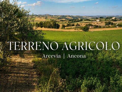 Frazione Montale, 136 - Arcevia