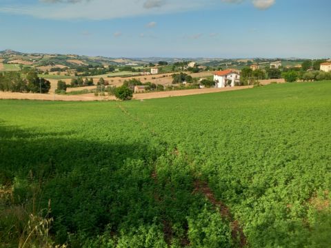 Frazione Montale, 136 - Arcevia