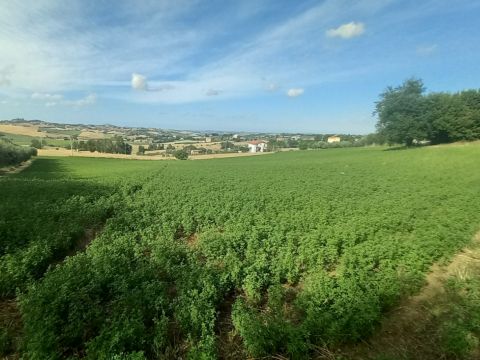 Frazione Montale, 136 - Arcevia