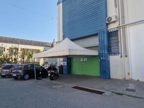 Viale Lucrezia della Valle, 18 - Catanzaro