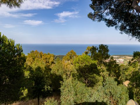 Corso Umberto I, 32 - Sant'andrea Apostolo Dello Ionio